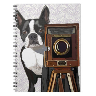 Carnet Photographe Boston Terrier 2