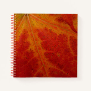 Carnet Photographie abstraite de la feuille d'érable roug