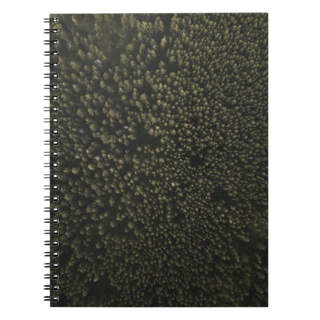 Carnet Photographie aérienne de grands arbres verts (Devant)