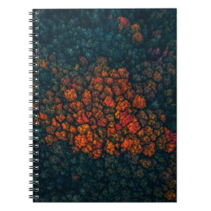 Carnet Photographie aérienne de la forêt
