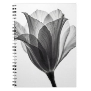 Carnet Photographie d'art botanique monochrome fine