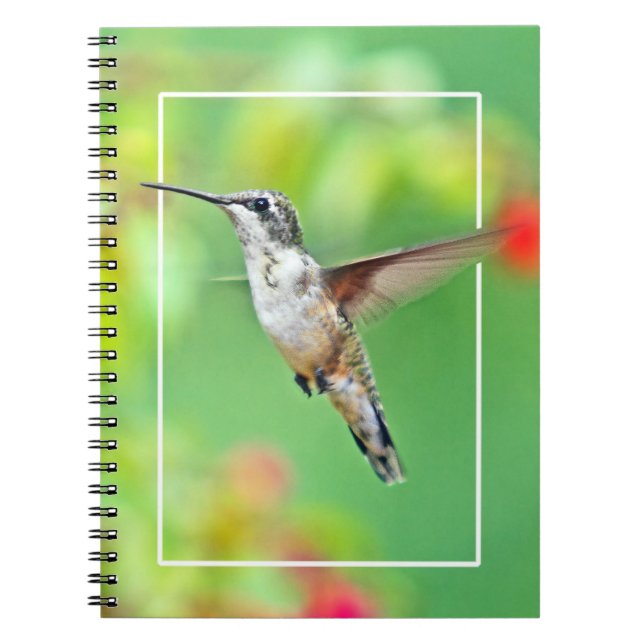 Carnet Photographie de colibri (Devant)