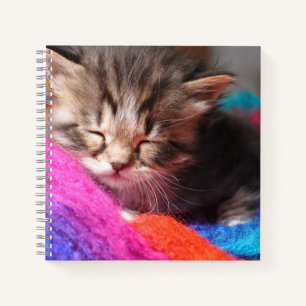 Carnet Photographie de doux petit chaton endormi nouveau-