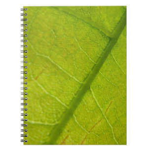 Carnet Photographie de la nature botanique de la feuille