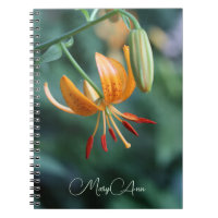 Photographie de Lily de tigre orange