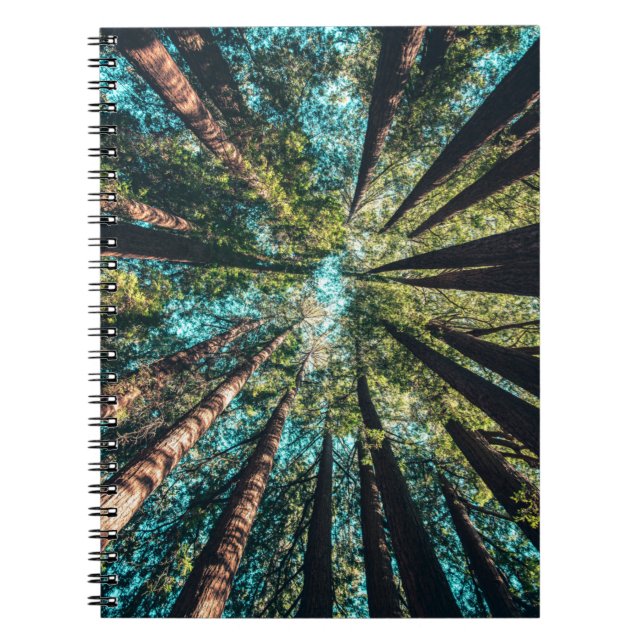 Carnet Photographie en angle bas des arbres en journée (Devant)