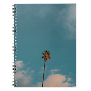 Carnet Photographie en angle bas du palmier sous ciel ble