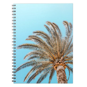 Carnet Photographie en angle bas d'un palmier vert sous u