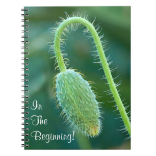 Carnet Photographie en gros plan en cours de bourgeon de