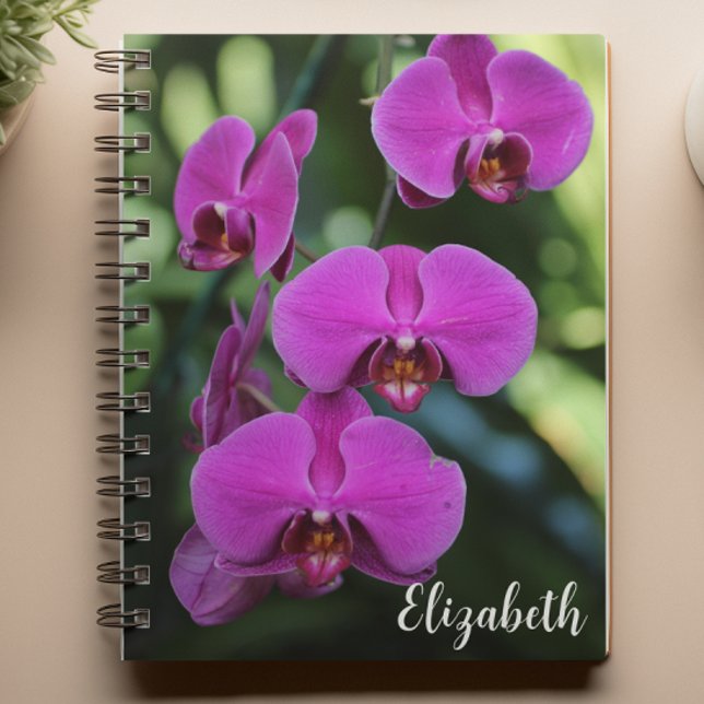 Carnet Photographie florale Elégant violet orchidée perso (Créateur téléchargé)