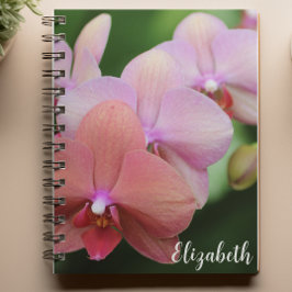 Carnet Photographie florale Élégante Orchidées roses Pers