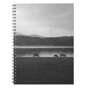 CARNET PHOTOGRAPHIE GRIS DE L'ÉCHELLE DES ANIMAUX