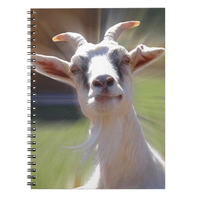 Carnet Photographie idiote de BillyGoat (Devant)