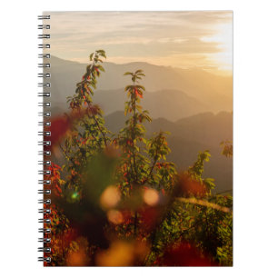 CARNET PHOTOGRAPHIE NATURELLE DES ARBRES VERTS SURPLOMBAN