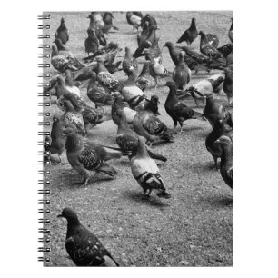 Carnet Photographie noir et blanc de nombreux pigeons