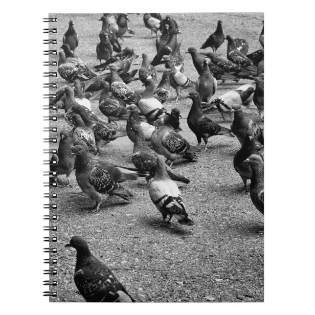 Carnet Photographie noir et blanc de nombreux pigeons (Devant)