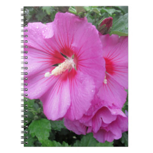 Carnet Photographie rose florale