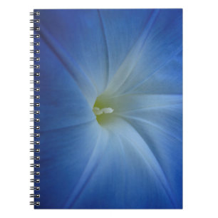 Carnet Photos de Fleur de Matin Bleu Céleste