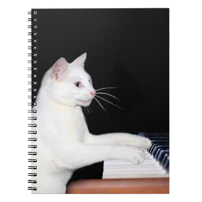 Carnet Piano-jeu chat (Devant)