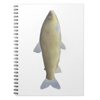Carnet Piaussu