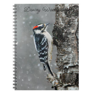 Carnet Pic Downy en neige - Photo originale