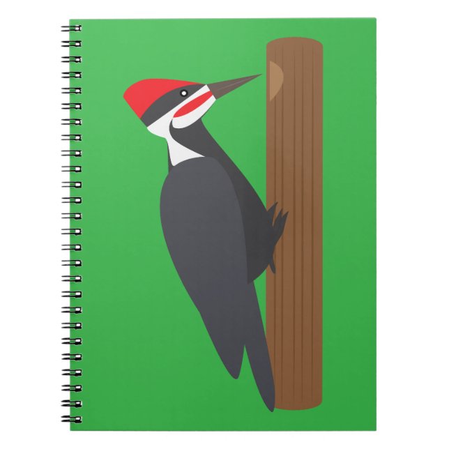 Carnet Pic vert (Devant)