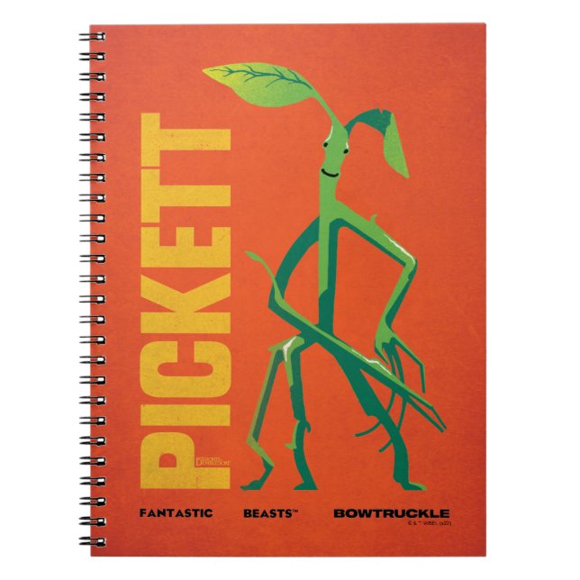 Carnet Pickett Vintage Graphic (Devant)