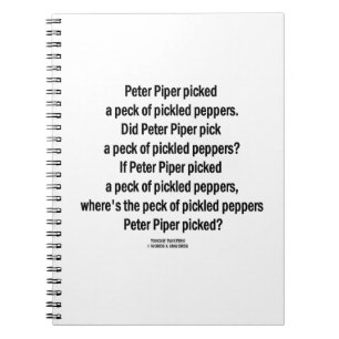 Carnet Picotin sélectionné par joueur de pipeau de Pete
