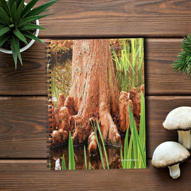 Carnet Pieds Baldaquin Cypress (Bald Cypress Knees in the Water Journal Cover Photo)