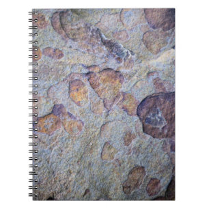 Carnet Pierre de fer rocheuse