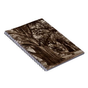Carnet Pierres d'if de cimetière de généalogie de jour