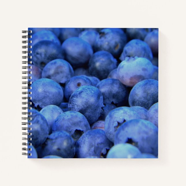 Carnet pile de bleuets (Devant)