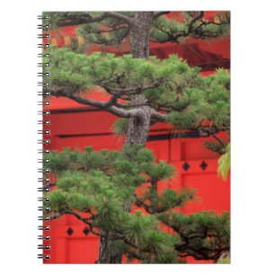 Carnet Pin de bonsaï