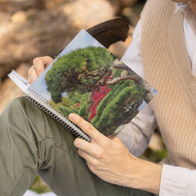 Carnet Pin noir et érable japonais rouge (In Situ)