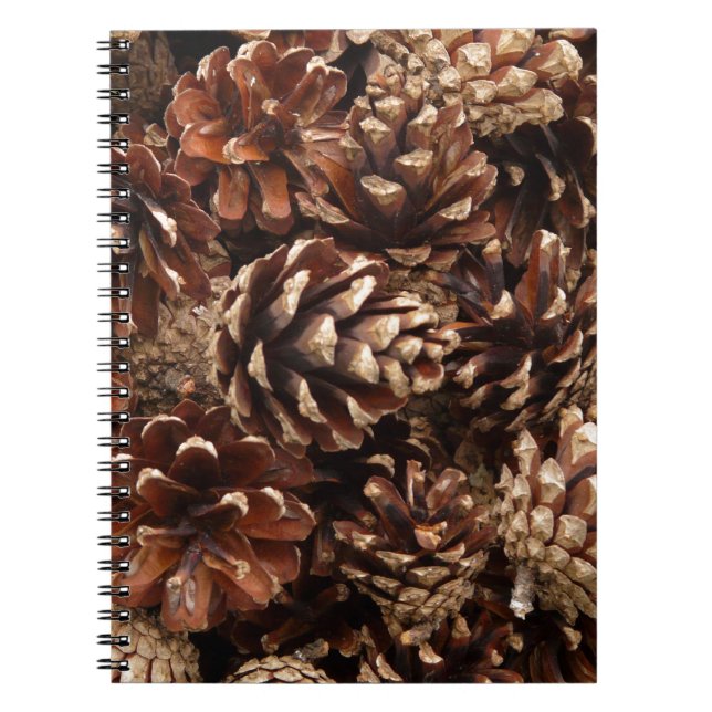 Carnet Pine Cones (Devant)