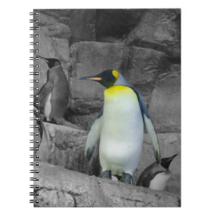 Carnet Pingouin d'empereur