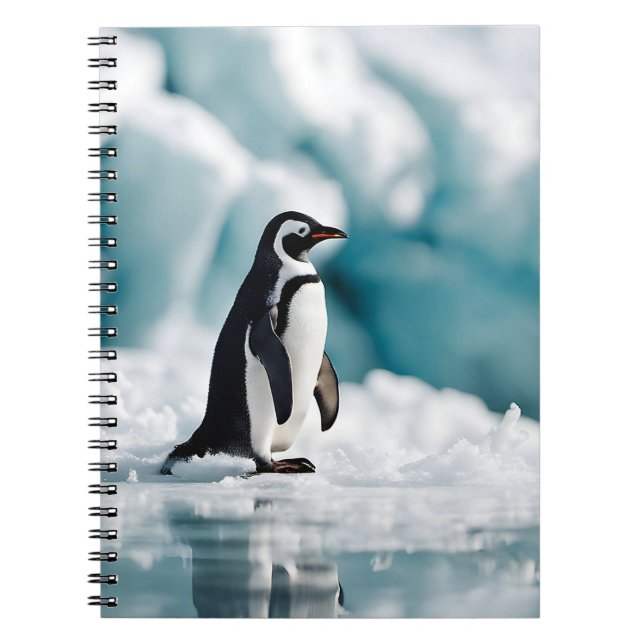 Carnet Pingouin Sur Iceberg (Devant)