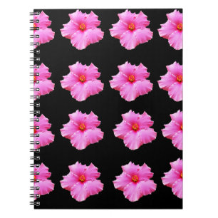 Carnet Pink Hibiscus Flowers On Black,