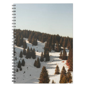 CARNET PINS VERTS