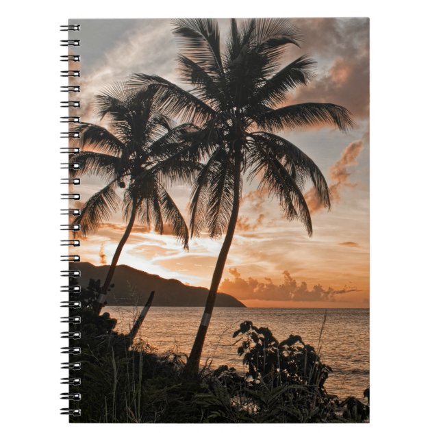Carnet Plage de Sunset Tropical Palm Trees Beach (Devant)