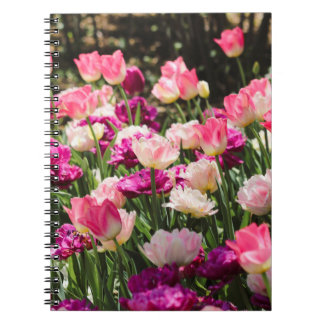 Carnet Plaisir rose et violet