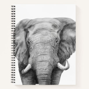 Carnet Plan de sauvegarde IV