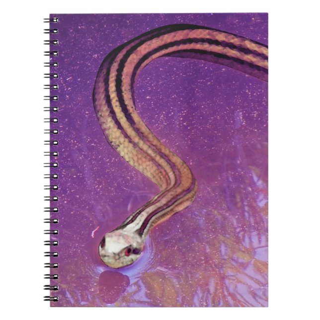 Carnet Planète de serpent (Devant)