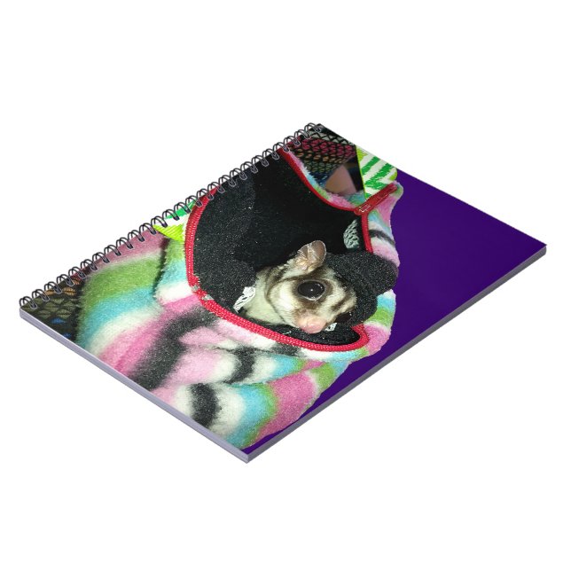 Carnet Planeur à sucre portant un Casquette (Côté gauche)