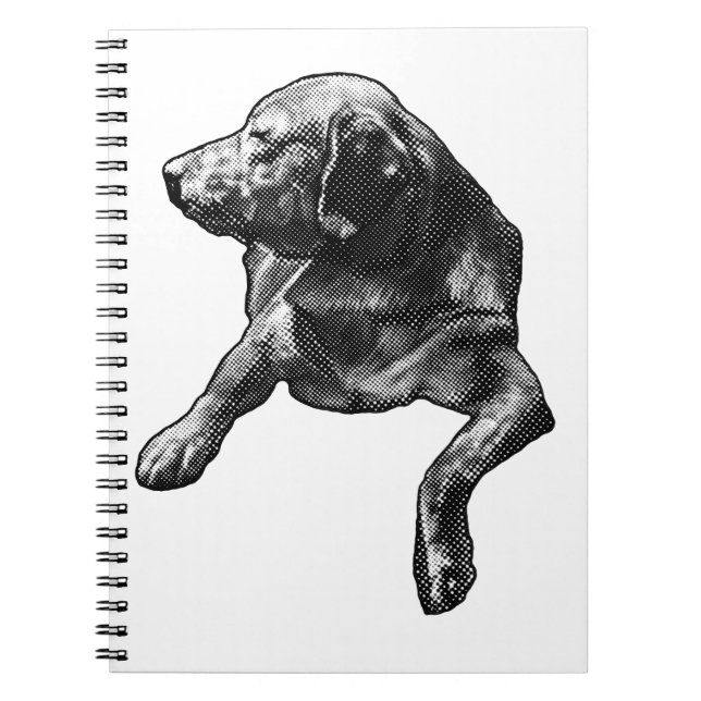 Carnet Plans avec un laboratoire à réglage numérique (Devant)