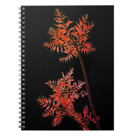 Carnet Plante