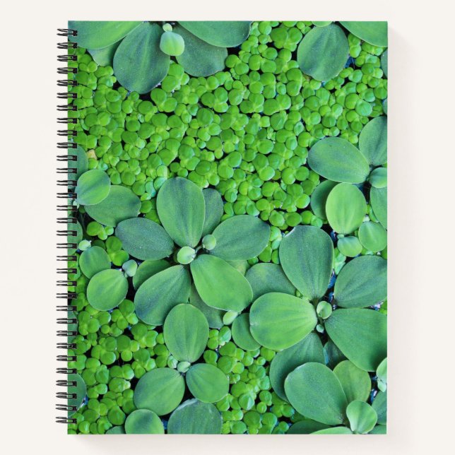 Carnet Plante (Devant)