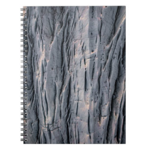 Carnet Plante