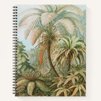Carnet Plantes botaniques vintages