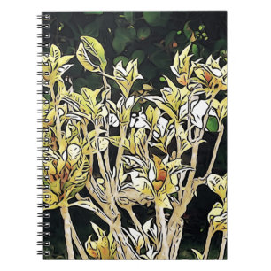 Carnet Plants of Cuba
